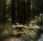 BreakingDawnPt1-2582.jpg