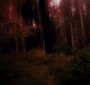 BreakingDawnPt1-2584.jpg