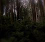 BreakingDawnPt1-2585.jpg