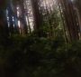 BreakingDawnPt1-2586.jpg