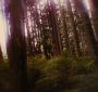 BreakingDawnPt1-2587.jpg