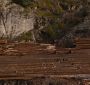 BreakingDawnPt1-2615.jpg