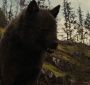 BreakingDawnPt1-2626.jpg