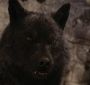 BreakingDawnPt1-2629.jpg