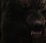 BreakingDawnPt1-2639.jpg