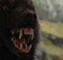 BreakingDawnPt1-2644.jpg