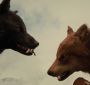 BreakingDawnPt1-2646.jpg