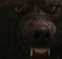 BreakingDawnPt1-2663.jpg