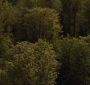BreakingDawnPt1-2678.jpg