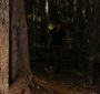 BreakingDawnPt1-2679.jpg