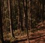 BreakingDawnPt1-2713.jpg