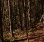 BreakingDawnPt1-2714.jpg