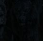 BreakingDawnPt1-2773.jpg