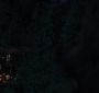 BreakingDawnPt1-2776.jpg