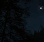 BreakingDawnPt1-2779.jpg