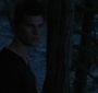 BreakingDawnPt1-2828.jpg