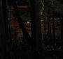 BreakingDawnPt1-2850.jpg