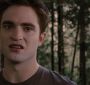 BreakingDawnPt1-2962.jpg