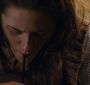 BreakingDawnPt1-3143.jpg