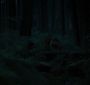 BreakingDawnPt1-3371.jpg