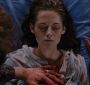BreakingDawnPt1-3683.jpg