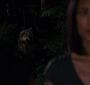 BreakingDawnPt1-3701.jpg