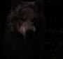 BreakingDawnPt1-3703.jpg