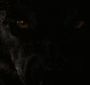 Filename=BreakingDawnPt1-3864.jpg
Filesize=90KiB
Dimensions=1920x800
Date added=Feb 11, 2012 BreakingDawnPt1-3864.jpg