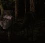 BreakingDawnPt1-3931.jpg