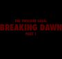 BreakingDawnPt1-4132.jpg