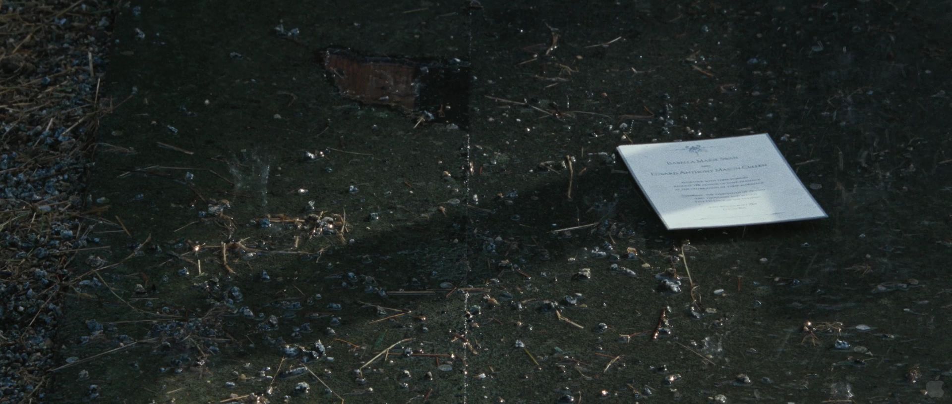 BreakingDawnPt1Teaser0028.jpg