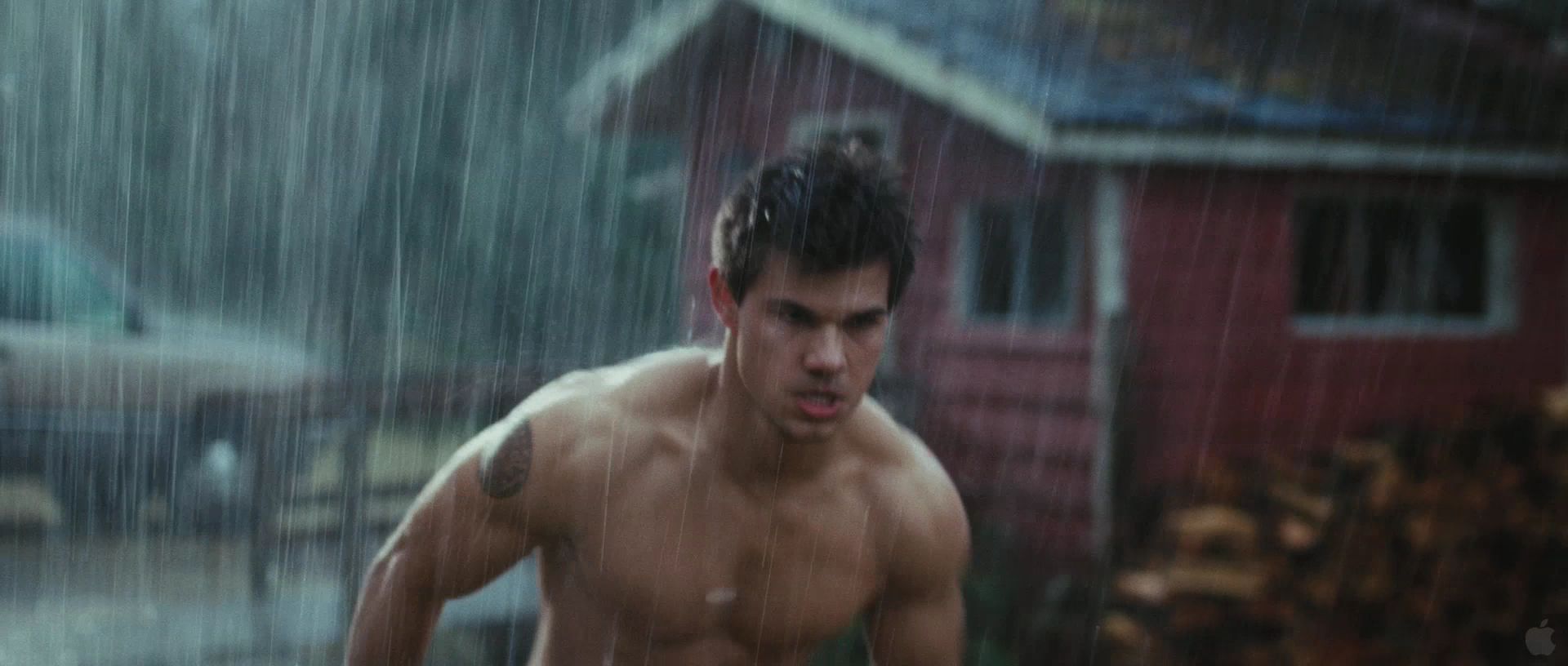 BreakingDawnPt1Teaser0031.jpg
