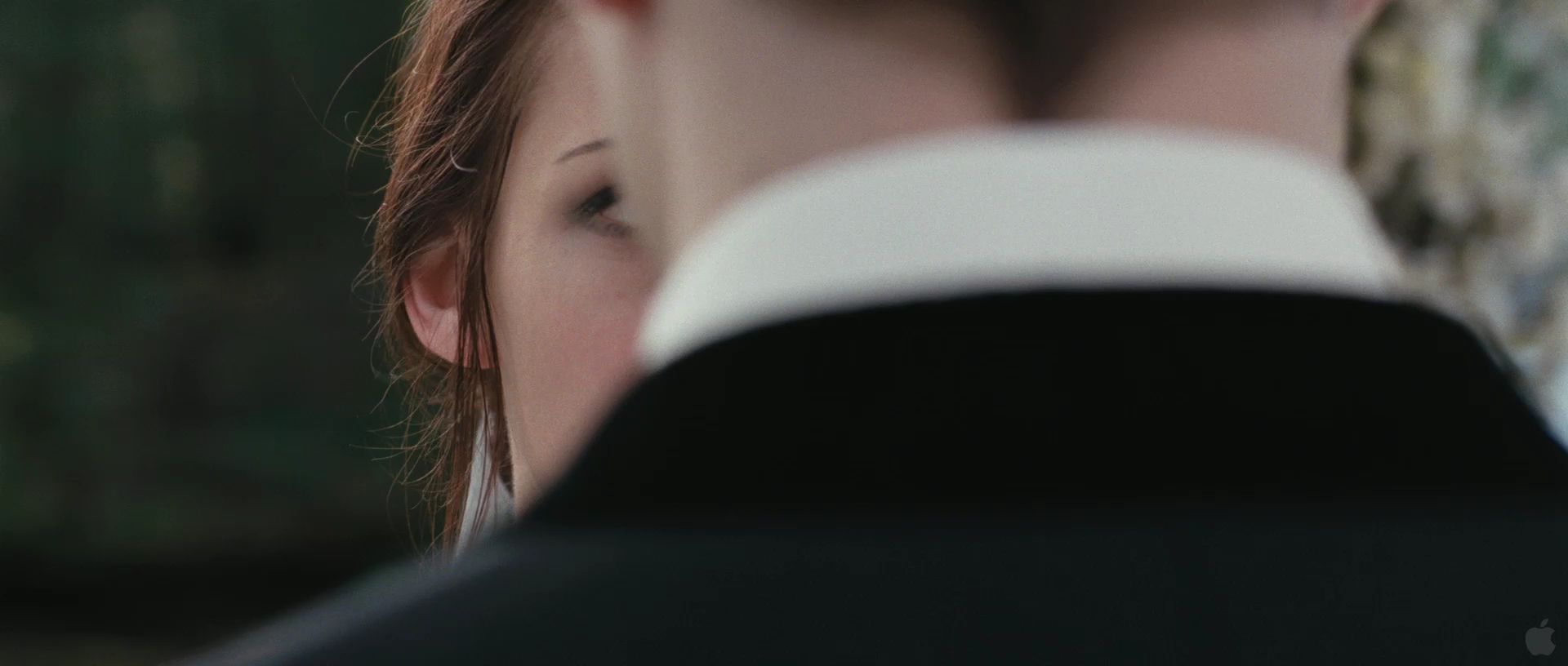 BreakingDawnPt1Teaser0054.jpg