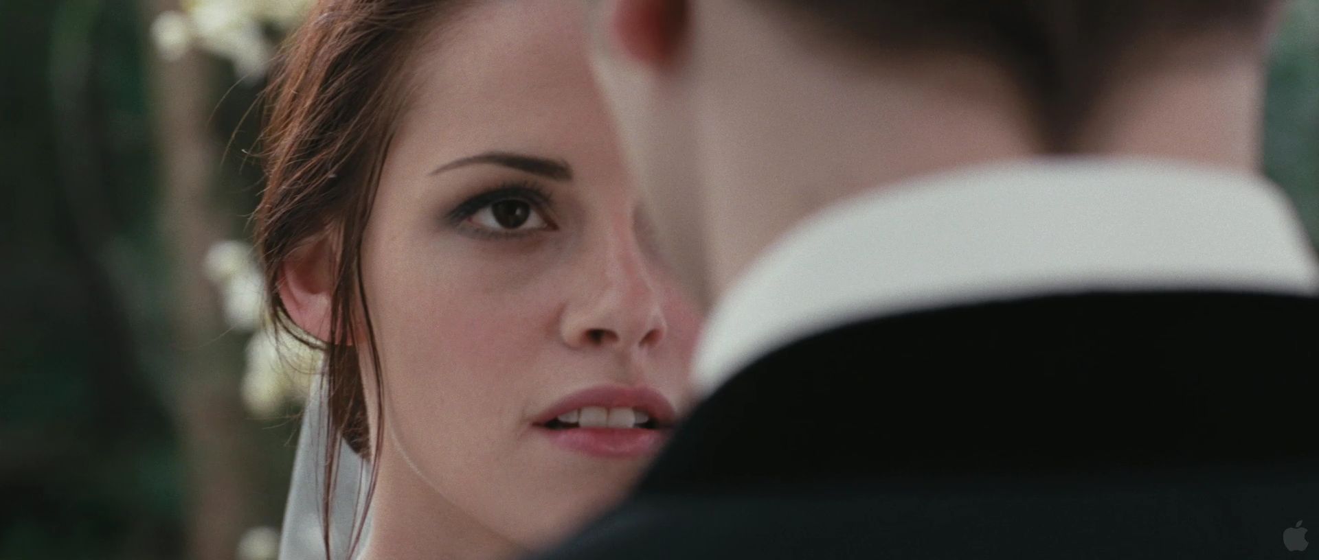 BreakingDawnPt1Teaser0057.jpg