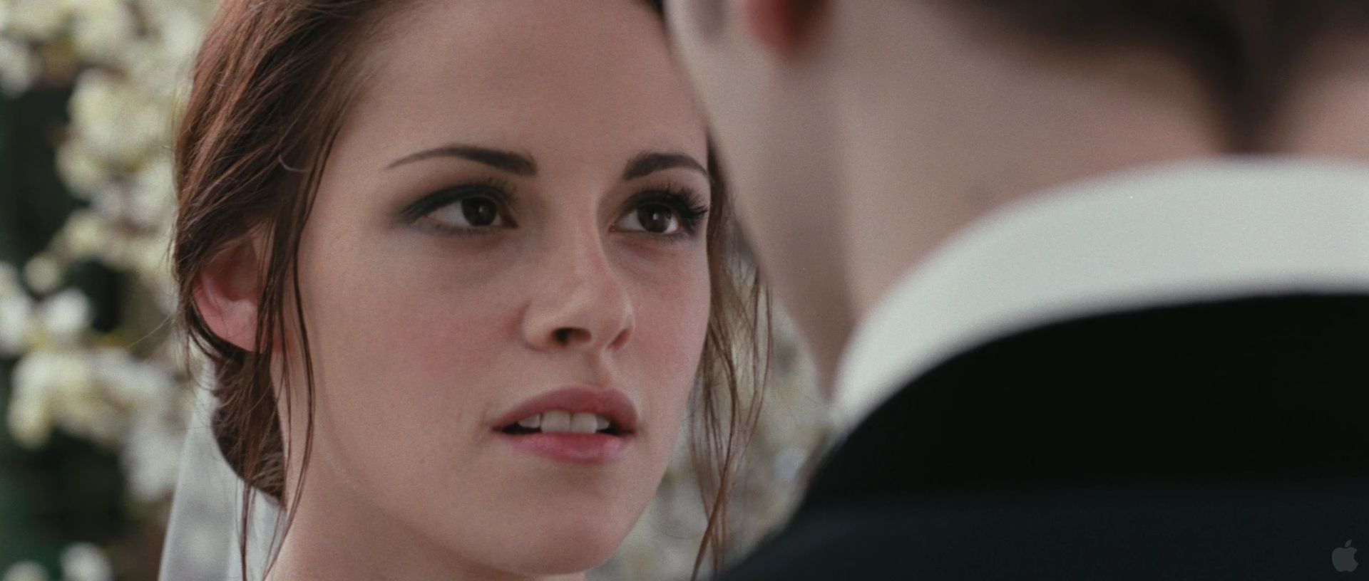 BreakingDawnPt1Teaser0061.jpg