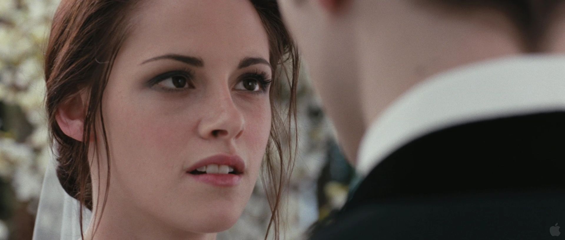 BreakingDawnPt1Teaser0062.jpg