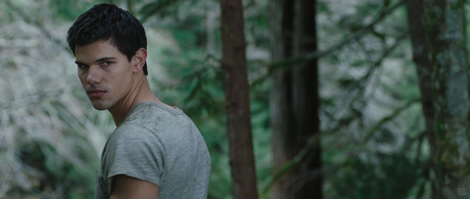 BreakingDawnPt1Teaser0097.jpg