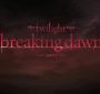 BreakingDawnPt1Teaser0124.jpg