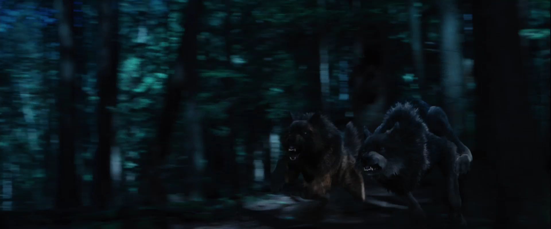 BDPart1Trailer0120.jpg