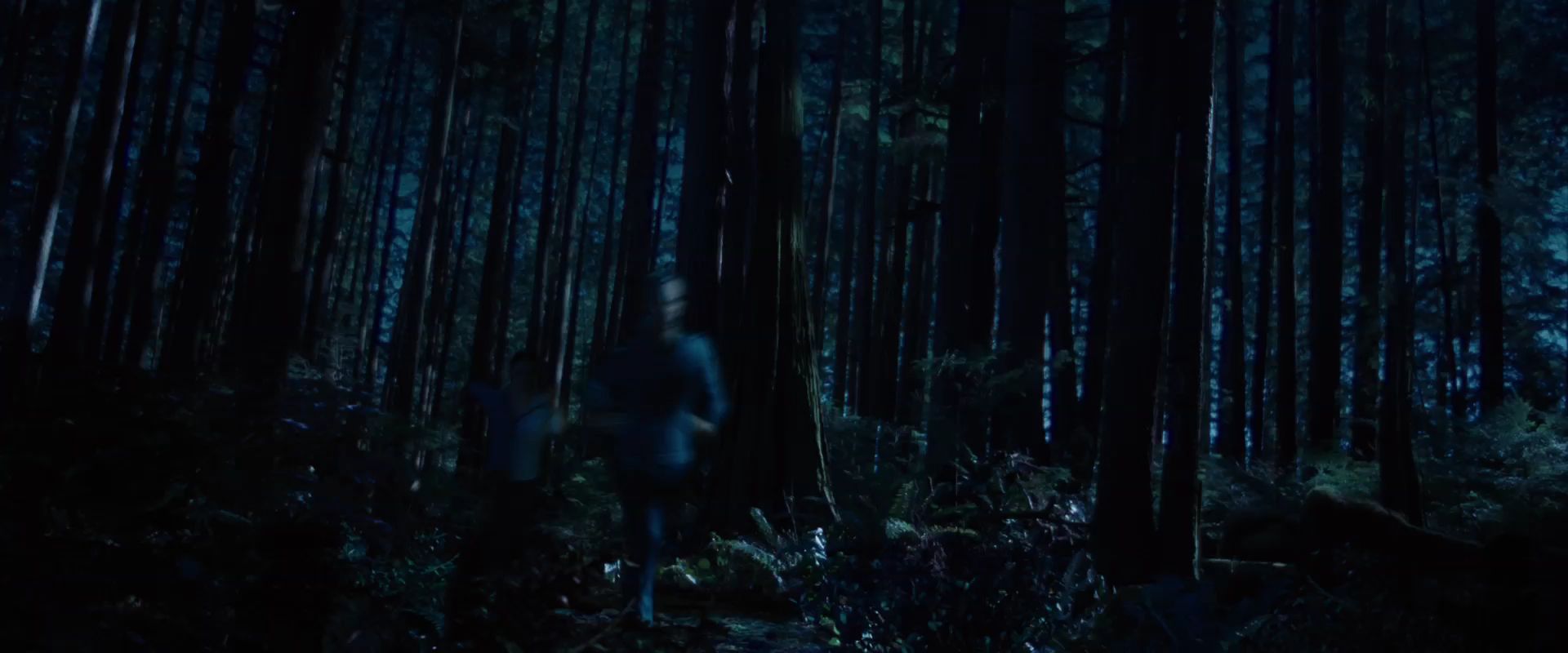 BDPart1Trailer0156.jpg