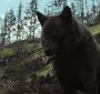 BDPart1Trailer0118.jpg