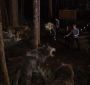 BDPart1Trailer0137.jpg