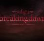 BDPart1Trailer0171.jpg