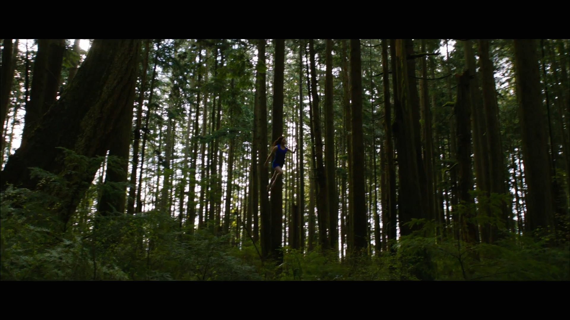 BDPt2Trailer0005.jpg