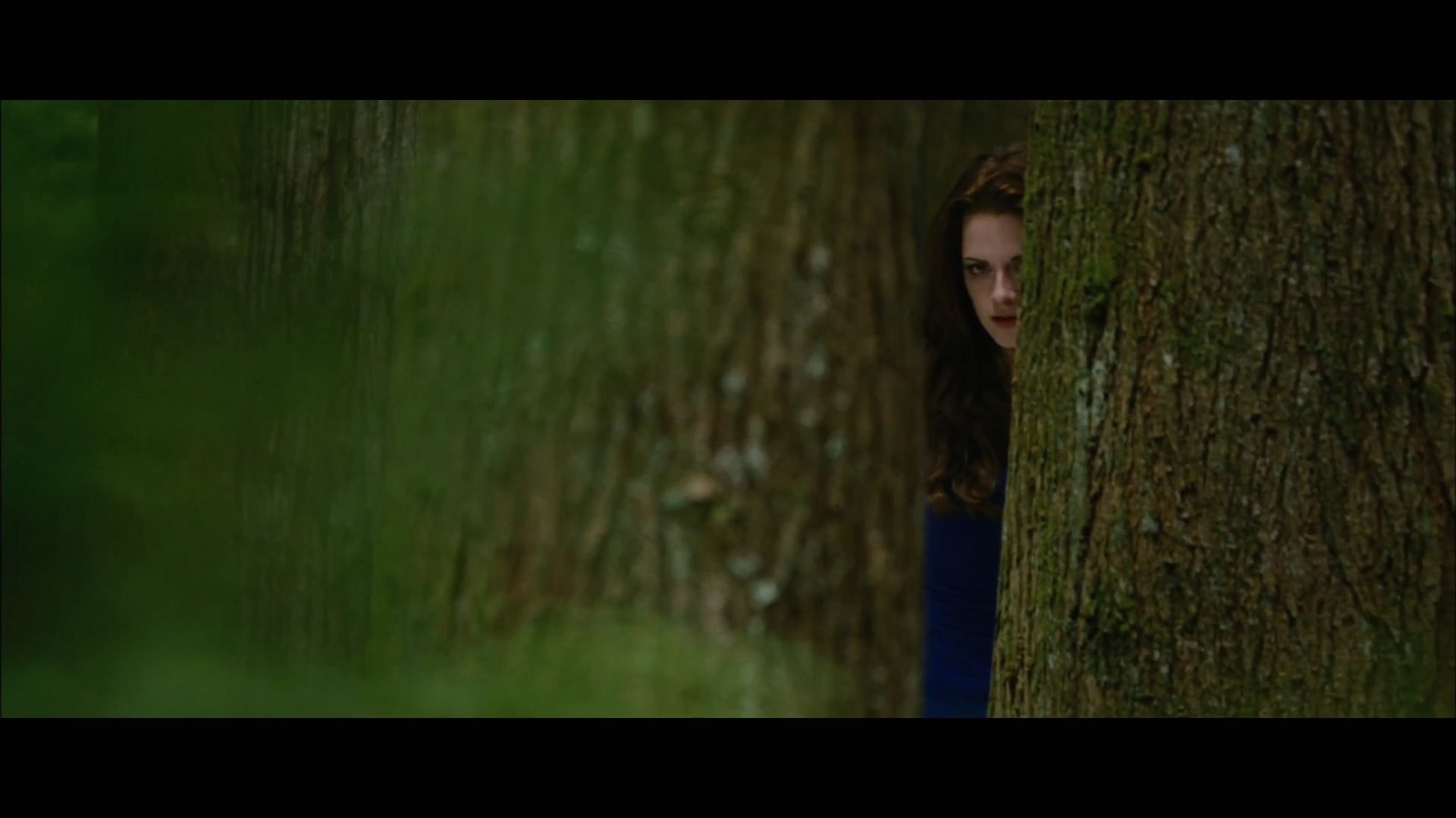 BDPt2Trailer0012.jpg