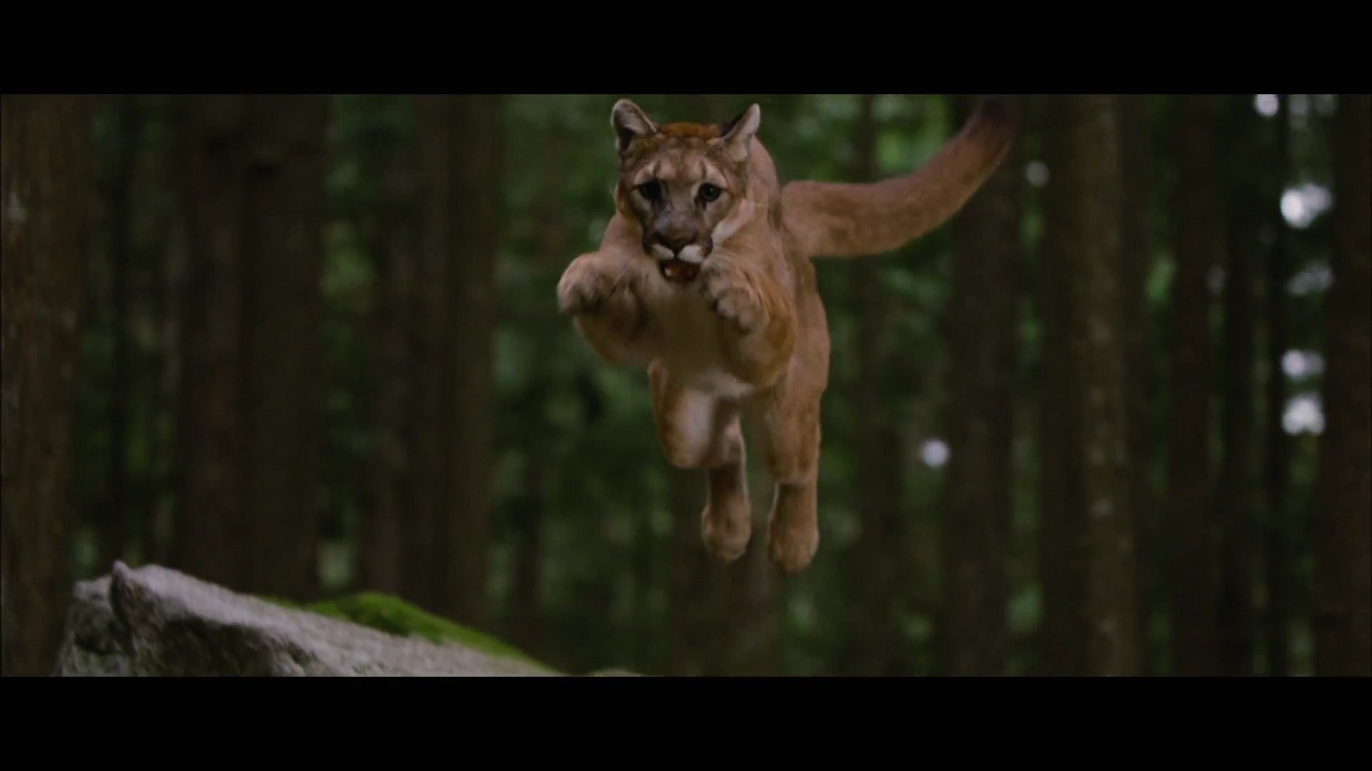 BDPt2Trailer0015.jpg