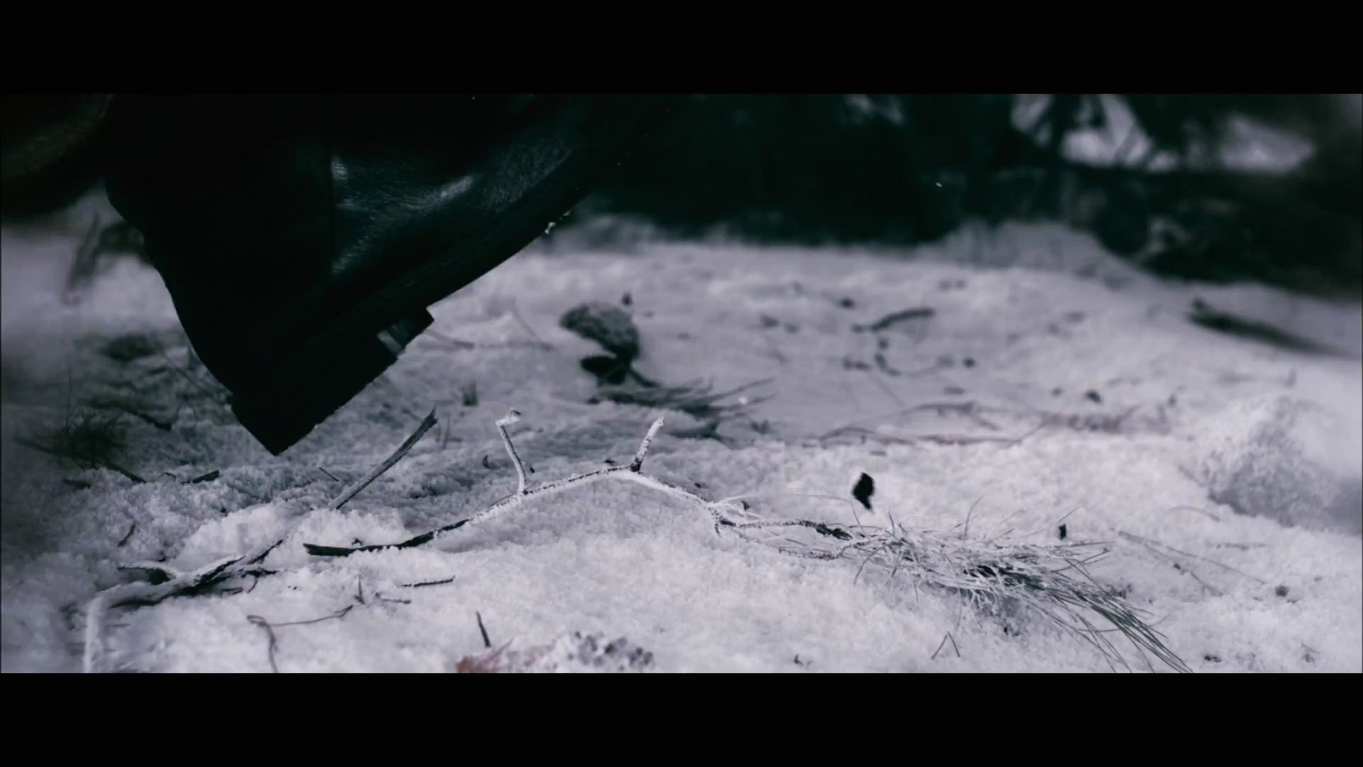 BDPt2Trailer0078.jpg