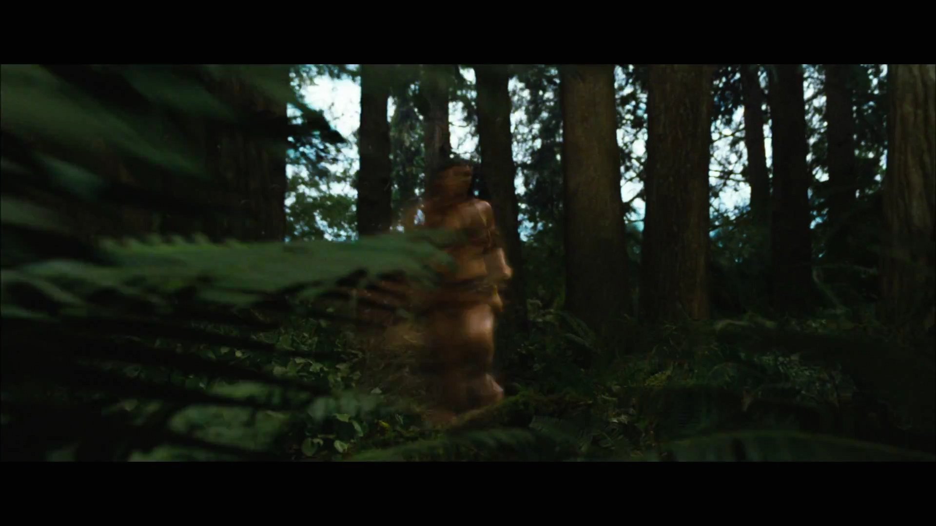BDPt2Trailer0114.jpg