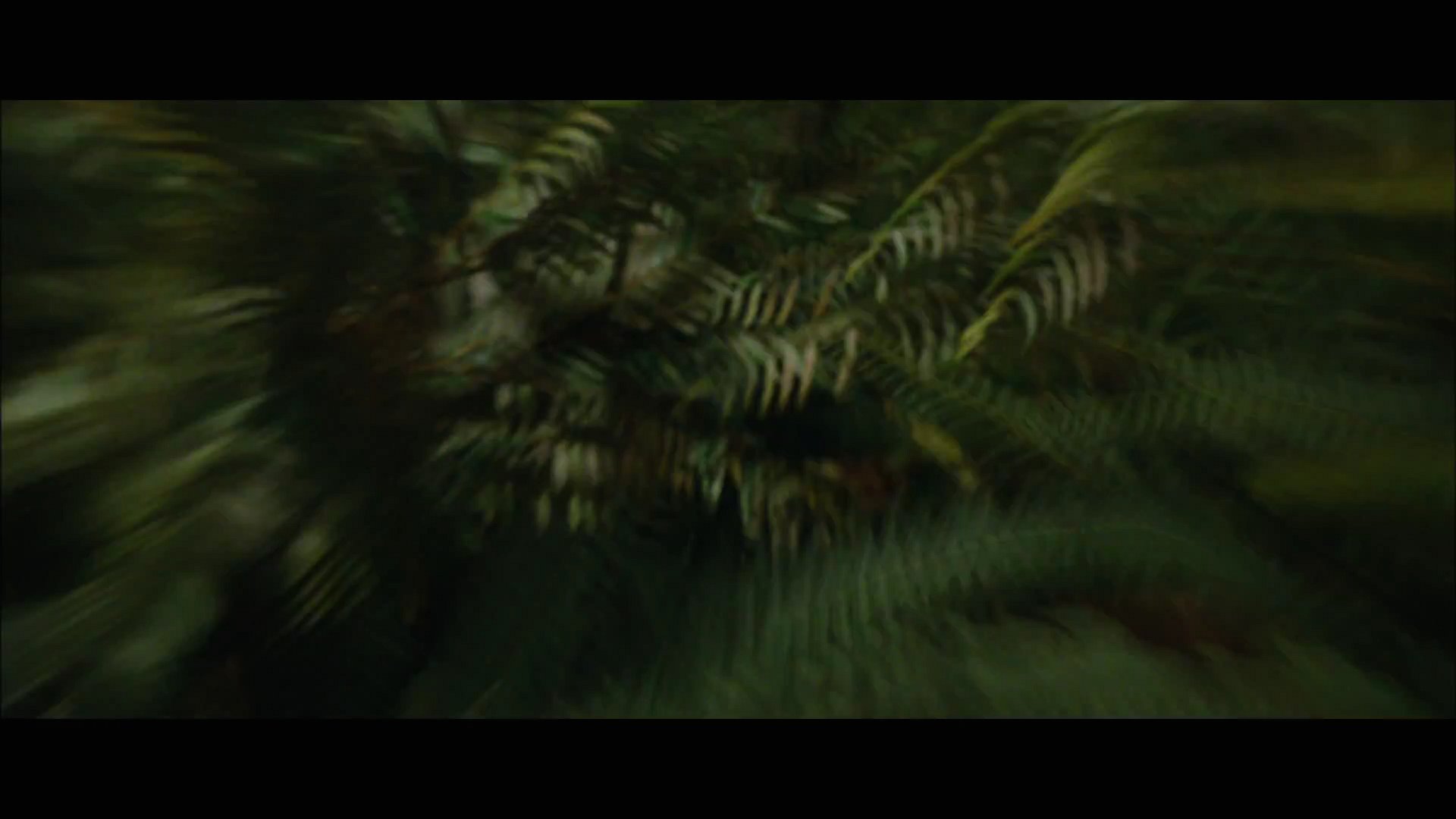 BDPt2Trailer0115.jpg