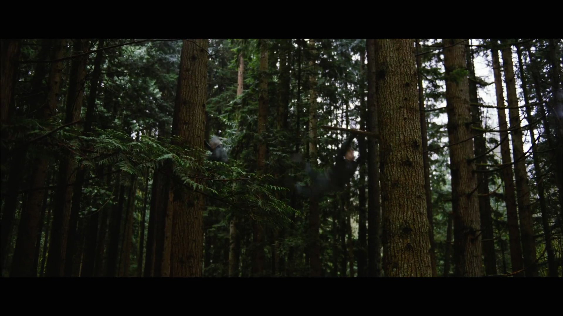 BDPt2Trailer0117.jpg